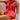 be6848d8-f773-483b-ae13-78ef59a6d2fa-Max-Origin